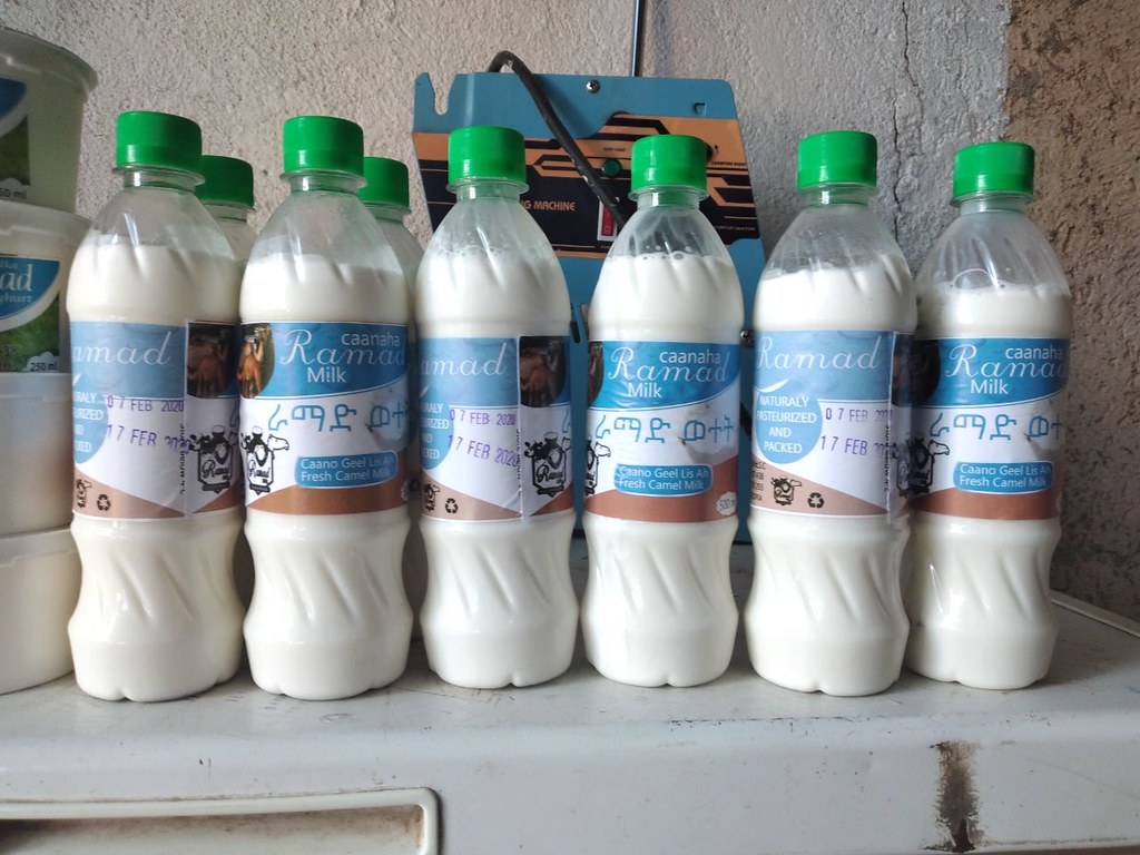 EIIP supports the dairy value chain