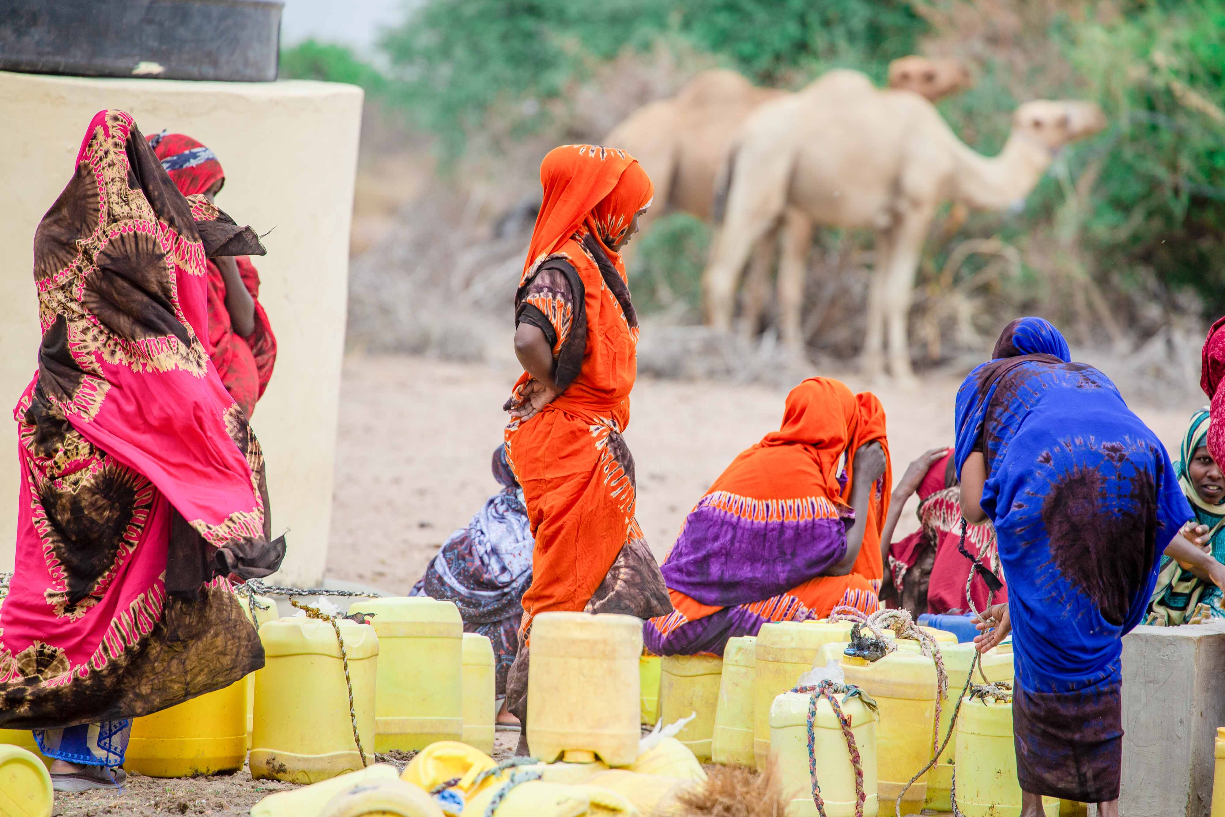 Image of a group of ladies standing and sitting amongst a few buckets with a camel in the backgroun